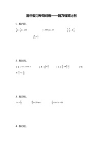 期中复习专项训练—解方程或比例题（试题）六年级下册数学人教版