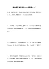 期中复习专项训练—应用题（试题）六年级下册数学人教版(02)