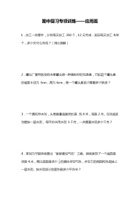 期中复习专项训练—应用题（试题）六年级下册数学北师大版