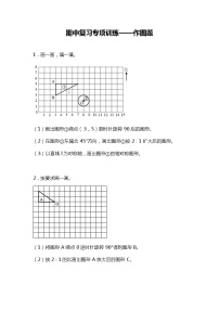 期中复习专项训练—作图题（试题）六年级下册数学北师大版