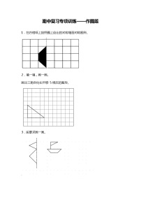 期中复习专项训练—作图题（试题）三年级下册数学北师大版