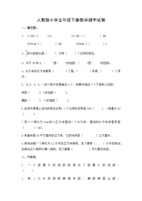 期中试卷（试题3）2022-2023学年度人教版五年级下册数学（含解析）