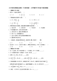 小升初比例强化训练（专项突破）-小学数学六年级下册苏教版