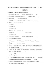 2022-2023学年黑龙江省齐齐哈尔市碾子山区五年级（上）期末数学试卷