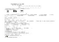 期中检测卷（试题）五年级下册数学人教版