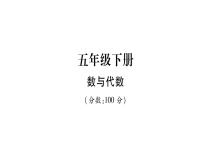 小升初西师大版（2014年秋）数学专题复习课件：五年级下册－数与代数