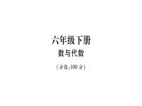 小升初西师大版（2014年秋）数学专题复习课件：六年级下册－数与代数