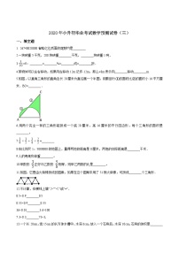 2023年小学数学六年级下册小升初冀教版押题卷（三）（含答案）