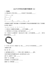 2023年小学数学六年级下册小升初冀教版押题卷（五）（含答案）