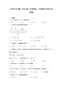 式与方程——小学数学六年级下册人教版小升初专项突破学案