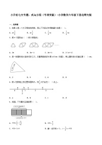 式与方程——小学数学六年级下册北师大版小升初专项突破