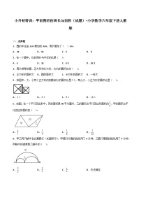 小学数学六年级下册小升初人教版专题特训：平面图形的周长与面积（含答案）学案