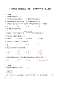 小学数学六年级下册小升初人教版专题特训：比例的运用（含答案）学案