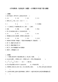 小学数学六年级下册小升初人教版专题特训：比的运用（含答案）学案