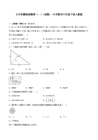 小学数学六年级下学期人教版小升初专题特训学案+模拟卷：模拟检测卷（一）（含答案）