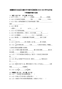 新疆维吾尔自治区乌鲁木齐市新市区集团校2022-2023学年五年级下学期期中数学试卷