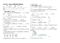 北师大版六年级上册数学期中试卷 6（含答案）