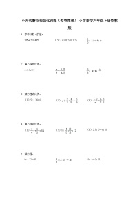 小升初解方程强化训练（专项突破）-小学数学六年级下册苏教版