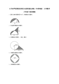 小升初平面图形的周长与面积强化训练（专项突破）-小学数学六年级下册苏教版
