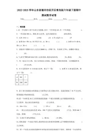 2022-2023学年山东省德州市经开区青岛版六年级下册期中测试数学试卷(含答案解析)