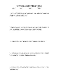 小学人教版六年级下学期数学专项练习