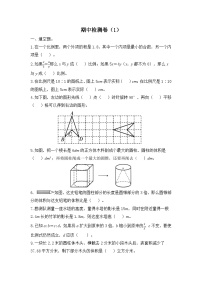 北师大版数学六年级下册名校期中检测卷（1）（含答案）