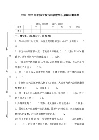 2022-2023年北师大版六年级数学下册期末测试卷3