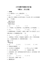 小升初数学真题分项汇编专题02式与方程