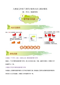 【期末复习】第一单元《观察物体（三）》——小学数学人教版五年级下册单元知识梳理+练习（原卷版+解析版）