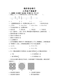 期末综合练习（试题）-六年级下册数学苏教版