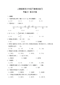 人教版数学6年级下册期末复习专题(一) 数与代数 (附答案)
