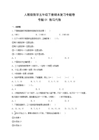 人教版数学五年级下册期末复习专题卷专题—— 数与代数（附答案）