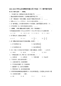 2022-2023学年山东省潍坊市奎文区六年级（下）期中数学试卷