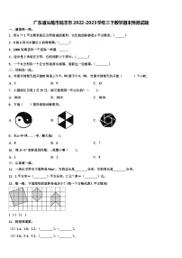 广东省汕尾市陆丰市2022-2023学年三下数学期末预测试题含解析