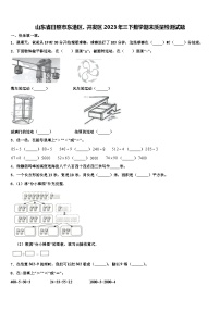 山东省日照市东港区、开发区2023年三下数学期末质量检测试题含解析