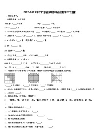 2022-2023学年广东省深圳市坪山区数学三下期末含解析