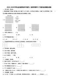 2022-2023学年山东省青岛市平度市、胶州市数学三下期末监测模拟试题含解析