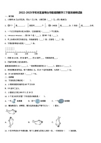 2022-2023学年河北省邢台市临城县数学三下期末调研试题含解析