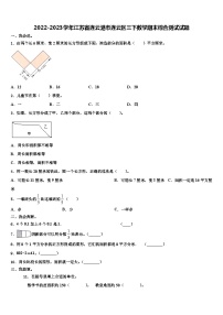 2022-2023学年江苏省连云港市连云区三下数学期末综合测试试题含解析