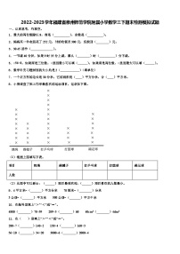 2022-2023学年福建省泉州师范学院附属小学数学三下期末检测模拟试题含解析