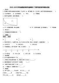 2022-2023学年福建省漳州市南靖县三下数学期末联考模拟试题含解析