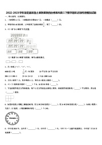 2022-2023学年湖北省恩施土家族苗族自治州来凤县三下数学期末达标检测模拟试题含解析