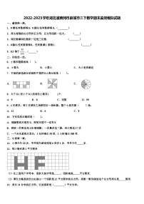 2022-2023学年湖北省黄冈市麻城市三下数学期末监测模拟试题含解析