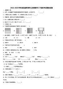 2022-2023学年湖北省荆州市公安县数学三下期末考试模拟试题含解析