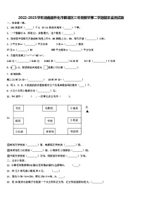 2022-2023学年湖南省怀化市鹤城区三年级数学第二学期期末监测试题含解析