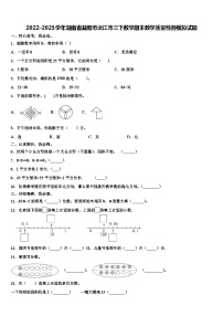 2022-2023学年湖南省益阳市沅江市三下数学期末教学质量检测模拟试题含解析