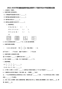 2022-2023学年湖南省益阳市赫山区数学三下期末学业水平测试模拟试题含解析