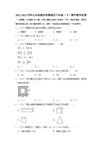 2022-2023学年山东省德州市陵城区六年级（下）期中数学试卷