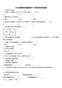 2023届常德市武陵区数学三下期末质量检测试题含解析