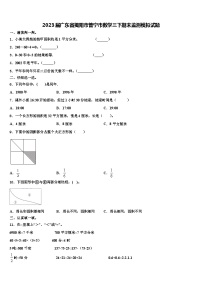 2023届广东省揭阳市普宁市数学三下期末监测模拟试题含解析